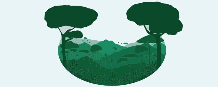 Plant bomen met deze virtual Mastercard