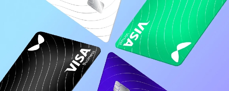 Wallester VISA cards